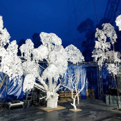 Wunderwald – Im Wald der Wünsche