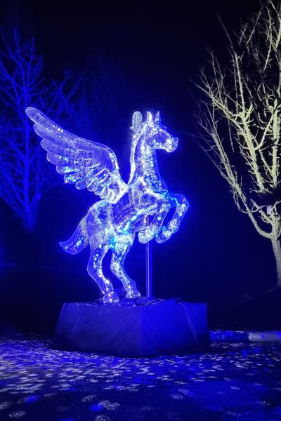 Pegasus Kathleen Nerlich