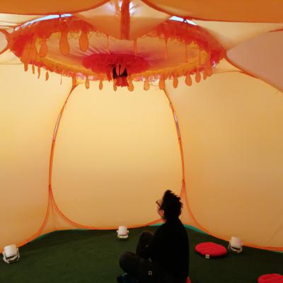 Img 20241031 1530061