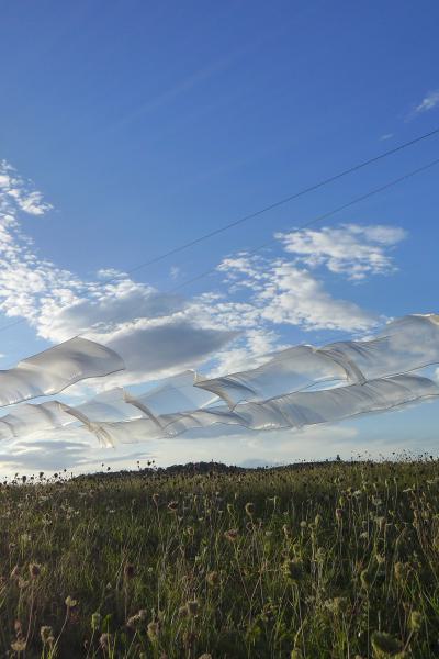 Bw25 P1540805 Foto Retareinl