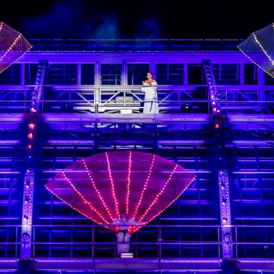 Vola Stageart Botanische Nacht 2024 1