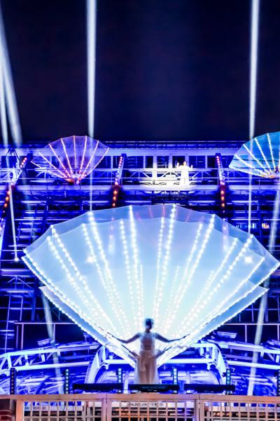 Vola Stageart Botanische Nacht 2024 3